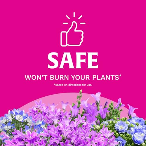Buy now Scotts Super Bloom Water Soluble Plant Food, 2 lb - NPK 12-55-6 - Fertilizer for Outdoor Flowers, Fruiting Plants, Containers and Bed Areas - Feeds Plants Instantly at indiglob india