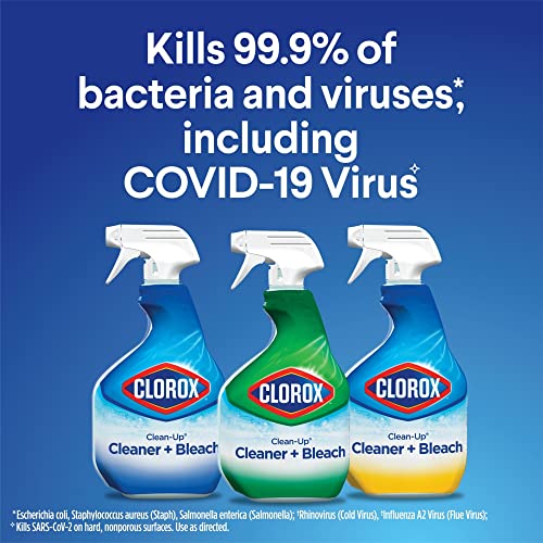 Buy now Clorox® Clean-Up® All Purpose Cleaner with Bleach, Spray Bottle, Rain Clean, 32 Fluid Ounces at indiglob india