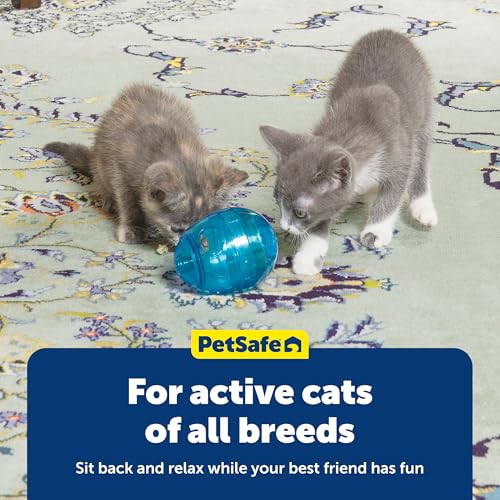 Buy now PetSafe FUNkitty Egg-Cersizer - Cat Toy - Slow-Feeder for Cats to Slow Down & Reduce Aggressive Eating - Durable Multi-Functional Enrichment Toy for Improved Digestion & Exercise at indiglob india