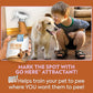 Buy now OUT! PetCare Go Here Attractant Dog and Puppy Potty Training Spray, Safe & Effective Puppy Pee Spray, Dog Housebreaking Supplies, Indoor and Outdoor House Training Tool, 32 oz at indiglob india