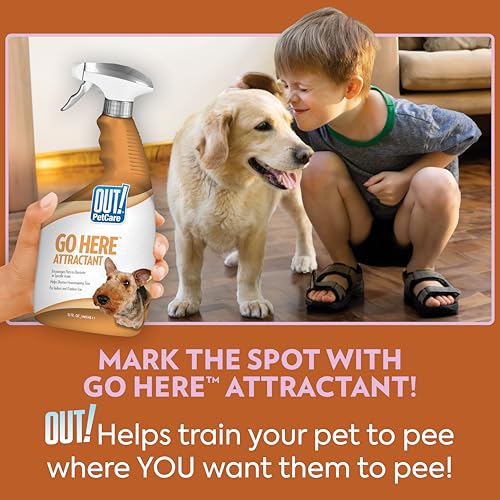 Buy now OUT! PetCare Go Here Attractant Dog and Puppy Potty Training Spray, Safe & Effective Puppy Pee Spray, Dog Housebreaking Supplies, Indoor and Outdoor House Training Tool, 32 oz at indiglob india
