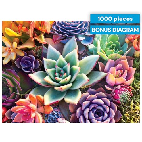 Buy now Buffalo Games - Simple Succulent - James Mertke - 1000 Piece Jigsaw Puzzle for Adults - Challenging Puzzle for Game Nights - Vibrant Plant Artwork - Finished Size 26.75 x 19.75 - Made in the USA at indiglob india