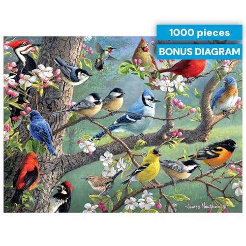 Buy now Buffalo Games - Birds in an Orchard - Hautman - 1000 Piece Jigsaw Puzzle for Adults, Challenging Bird Puzzle for Game Nights, Finished Size 26.75 x 19.75, Made in the USA at indiglob india
