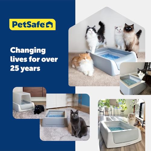 Buy now PetSafe ScoopFree Disposable Crystal Cat Litter Tray - Easy Cleaning Box - Refill Tray for Electric Litter Box - Fragrance Free - 4.3 lb Bags - 6 Pack at indiglob india