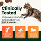Buy now VetriScience Healthy Hip & Joint Chews, GlycoFlex Glucosamine and Green-Lipped Mussel Joint Support Supplement for Cats, Promote Mobility and Protect Joints, Chicken, 60 Count at indiglob india