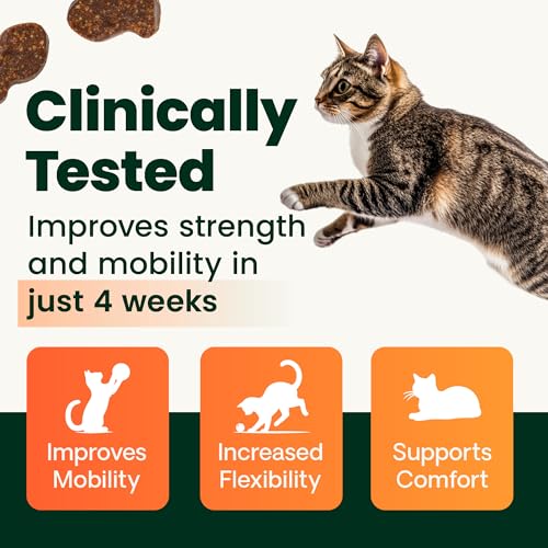 Buy now VetriScience Healthy Hip & Joint Chews, GlycoFlex Glucosamine and Green-Lipped Mussel Joint Support Supplement for Cats, Promote Mobility and Protect Joints, Chicken, 60 Count at indiglob india