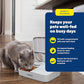 Buy now PetSafe Analog 2 Meal Programmable Pet Feeder, Automatic Dog and Cat Feeder - Dry or Semi-Moist Pet Food Dispenser, Slow Feed Portion Control (3 Cup/16 Ounce Total Capacity), Tamper-Resistant Design at indiglob india