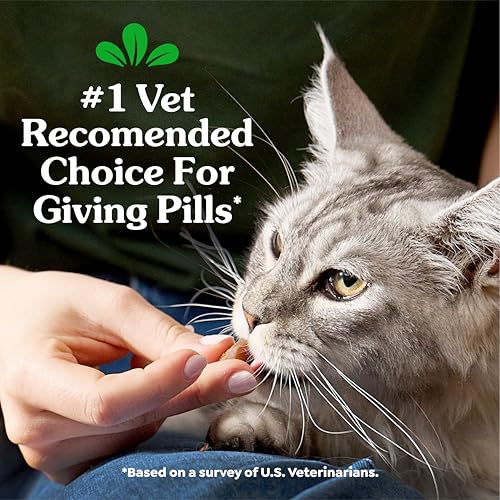 Buy now Greenies Feline Pill Pockets for Cats Soft Cat Treats, Chicken Flavor, 1.6 oz. Pouch, 45 Count at indiglob india