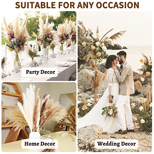 Buy now Seniny Pampas Grass, 80 Pcs Dried Pampas Grass Decor Tall 17", Natural Brown & White Pompous Grass | Bunny Tails Dried Flowers | Wheat Stalks | Reed for Boho Home Wedding Decor, Flower Arrangement at indiglob india