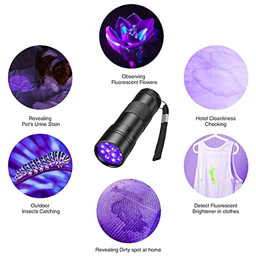 Buy now SEVENKA Black Light Flashlight, 2 Pack 12 LED UV Blacklight Flashlight, 395nm Handheld Mini Torch Light, Professional Urine Detector for Dog Pet Urine Stains, Bed Bugs and Scorpions. at indiglob india