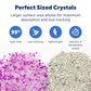 Buy now PetSafe ScoopFree Premium Natural Cat Litter - Eco-Friendly Long-Lasting Litter - High Absorbency & Low-Tracking Design - Non-Clumping Pebbles - 4.2 lb Bag - 2 Pack at indiglob india