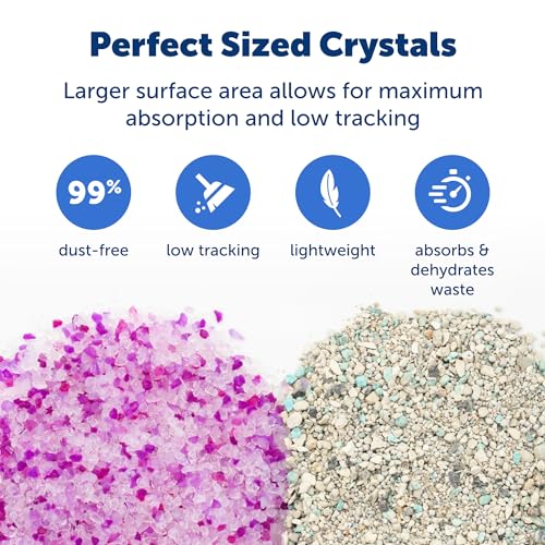 Buy now PetSafe ScoopFree Premium Natural Cat Litter - Eco-Friendly Long-Lasting Litter - High Absorbency & Low-Tracking Design - Non-Clumping Pebbles - 4.2 lb Bag - 2 Pack at indiglob india