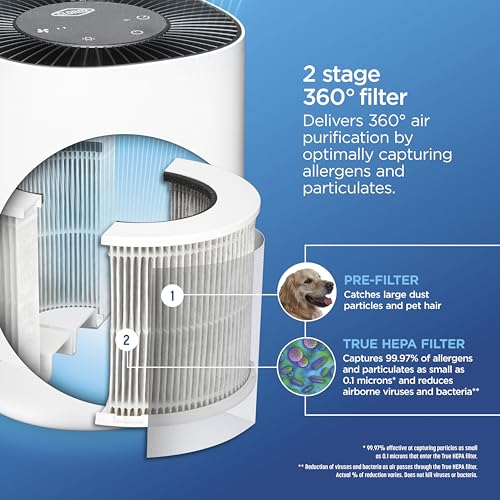 Buy now Clorox Air Purifiers for Bedroom Home, True HEPA Filter, Small Rooms Up to 200 Sq Ft, Removes 99.9% of Mold, Viruses, Wildfire Smoke, Allergens, Pet Allergies, Dust, AUTO Mode, Whisper Quiet at indiglob india