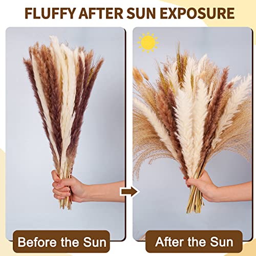Buy now Seniny Pampas Grass, 80 Pcs Dried Pampas Grass Decor Tall 17", Natural Brown & White Pompous Grass | Bunny Tails Dried Flowers | Wheat Stalks | Reed for Boho Home Wedding Decor, Flower Arrangement at indiglob india
