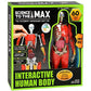Buy now Be Amazing! Toys Interactive Human Body - 60 Piece Fully Poseable Anatomy Figure – 14” Tall Model - Anatomy Kit – Removable Muscles, Organs,Bones STEM Toy – Ages 8+ at indiglob india