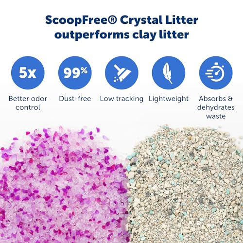 Buy now PetSafe ScoopFree Disposable Crystal Cat Litter Tray - Easy Cleaning Box - Refill Tray for Electric Litter Box - Fragrance Free - 4.3 lb Bags - 6 Pack at indiglob india