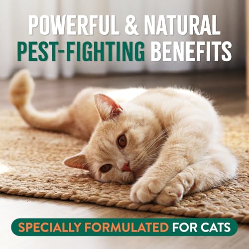 Buy now TropiClean Gentle Flea Shampoo for Cats, Flea and Tick Prevention for Cats, Powerful & Natural Defense, Made in USA, 12 oz. at indiglob india