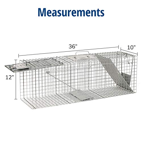 Buy now Havahart Large 2 Door Humane Catch and Release Live Animal Trap for Armadillos, Beavers, Bobcats, Small Dogs, Cats, Foxes, Groundhogs, Nutria, Opossums, Raccoons, Live Catch Trap for Stray Dogs 1045SR at indiglob india