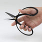 Buy now Wazakura Bonsai Scissors MADE IN JAPAN 7inch(180mm), Japanese Bonsai Garden Tools, Hasami Pruning Shears at indiglob india