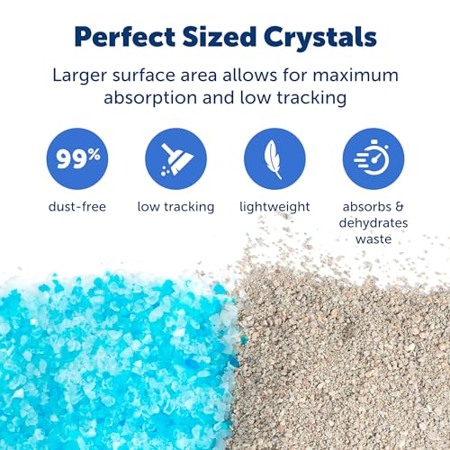 Buy now PetSafe ScoopFree Premium Natural Cat Litter - Eco-Friendly Long-Lasting Litter - High Absorbency & Low-Tracking Design - Non-Clumping Pebbles - 4.2 lb Bag - 2 Pack at indiglob india