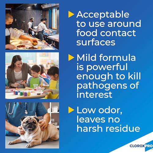 Buy now CloroxPro Anywhere Daily Disinfectant and Sanitizer, No-Rinse Food Contact Sanitizer, 32 Fluid Ounces, Pack of 12 at indiglob india