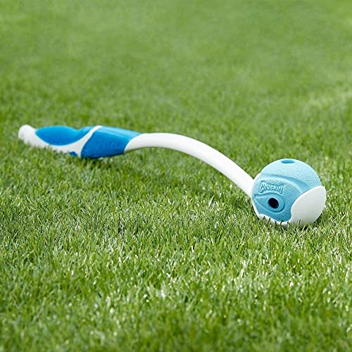 Buy now Chuckit! The Whistler Ball Dog Toy, Small (2 Inch Diameter) for Dogs 0-20 lbs, Pack of 2 at indiglob india