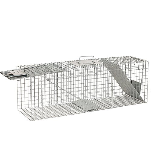 Buy now Havahart Large 2 Door Humane Catch and Release Live Animal Trap for Armadillos, Beavers, Bobcats, Small Dogs, Cats, Foxes, Groundhogs, Nutria, Opossums, Raccoons, Live Catch Trap for Stray Dogs 1045SR at indiglob india