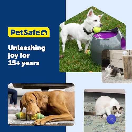 Buy now PetSafe FUNkitty Egg-Cersizer - Cat Toy - Slow-Feeder for Cats to Slow Down & Reduce Aggressive Eating - Durable Multi-Functional Enrichment Toy for Improved Digestion & Exercise at indiglob india