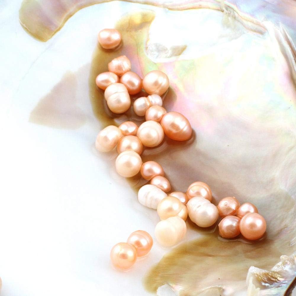 Buy now NeuFashion Big Oyster Pearl Party Pearl Freshwater Cultured Oval Pearl Beads (5-7mm 28 PCs/Lot) Oysters with Pearl Inside Anniversary Gifts for Women at indiglob india