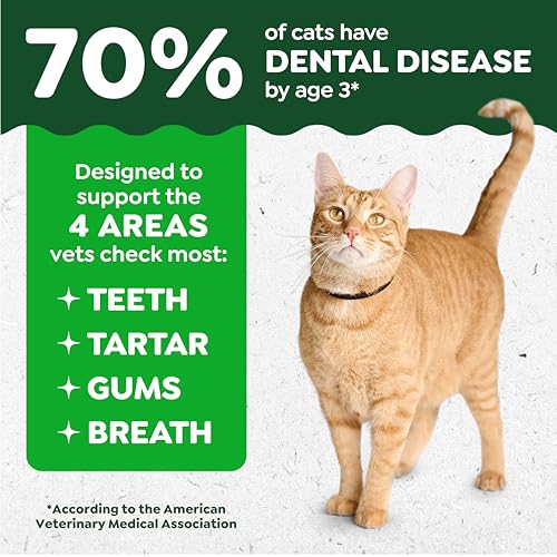 Buy now Greenies Cat Treats, Veterinarian-Recommended Adult Natural Dental Cat Treats, Tempting Tuna Flavor, 21 oz. Tub at indiglob india
