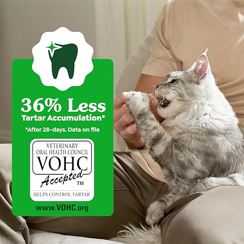 Buy now Greenies Feline Veterinarian-Recommended Adult Natural Dental Cat Treats, Catnip Flavor, 21 oz. Tub at indiglob india