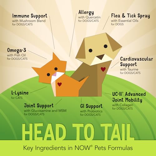 Buy now NOW Pet Health, Joint Support Supplement, Formulated for Cats & Dogs, NASC Certified, 90 Chewable Tablets at indiglob india