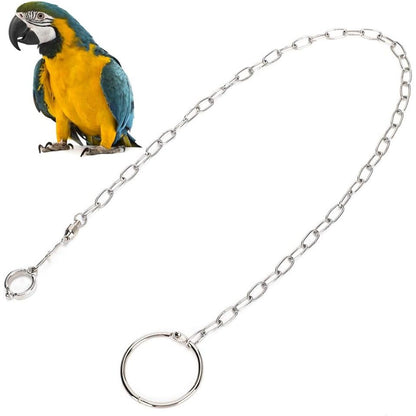 Rehomy Parrot Foot Chain, Stainless Steel Anti-bite Flying Training Anklet Ring Bird Harness for Parrots Macaw African Greys Parakeet Cockatoo Cockatiel Conure Lovebird
