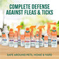 Buy now TropiClean Gentle Flea Shampoo for Cats, Flea and Tick Prevention for Cats, Powerful & Natural Defense, Made in USA, 12 oz. at indiglob india