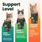 Buy now VetriScience Healthy Hip & Joint Chews, GlycoFlex Glucosamine and Green-Lipped Mussel Joint Support Supplement for Cats, Promote Mobility and Protect Joints, Chicken, 60 Count at indiglob india