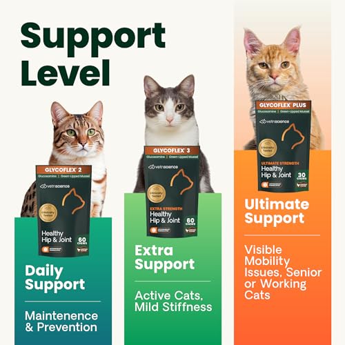 Buy now VetriScience Healthy Hip & Joint Chews, GlycoFlex Glucosamine and Green-Lipped Mussel Joint Support Supplement for Cats, Promote Mobility and Protect Joints, Chicken, 60 Count at indiglob india