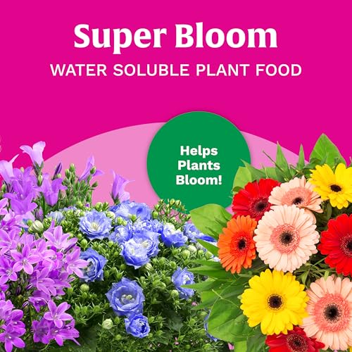 Buy now Scotts Super Bloom Water Soluble Plant Food, 2 lb - NPK 12-55-6 - Fertilizer for Outdoor Flowers, Fruiting Plants, Containers and Bed Areas - Feeds Plants Instantly at indiglob india