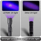 Black Light ,Flashlight, LED UV Torch 2 in 1 Blacklight with 500LM Highlight, 4 Mode, Waterproof for Pet Clothing Food Fungus Detection/Night Fishing/Travel