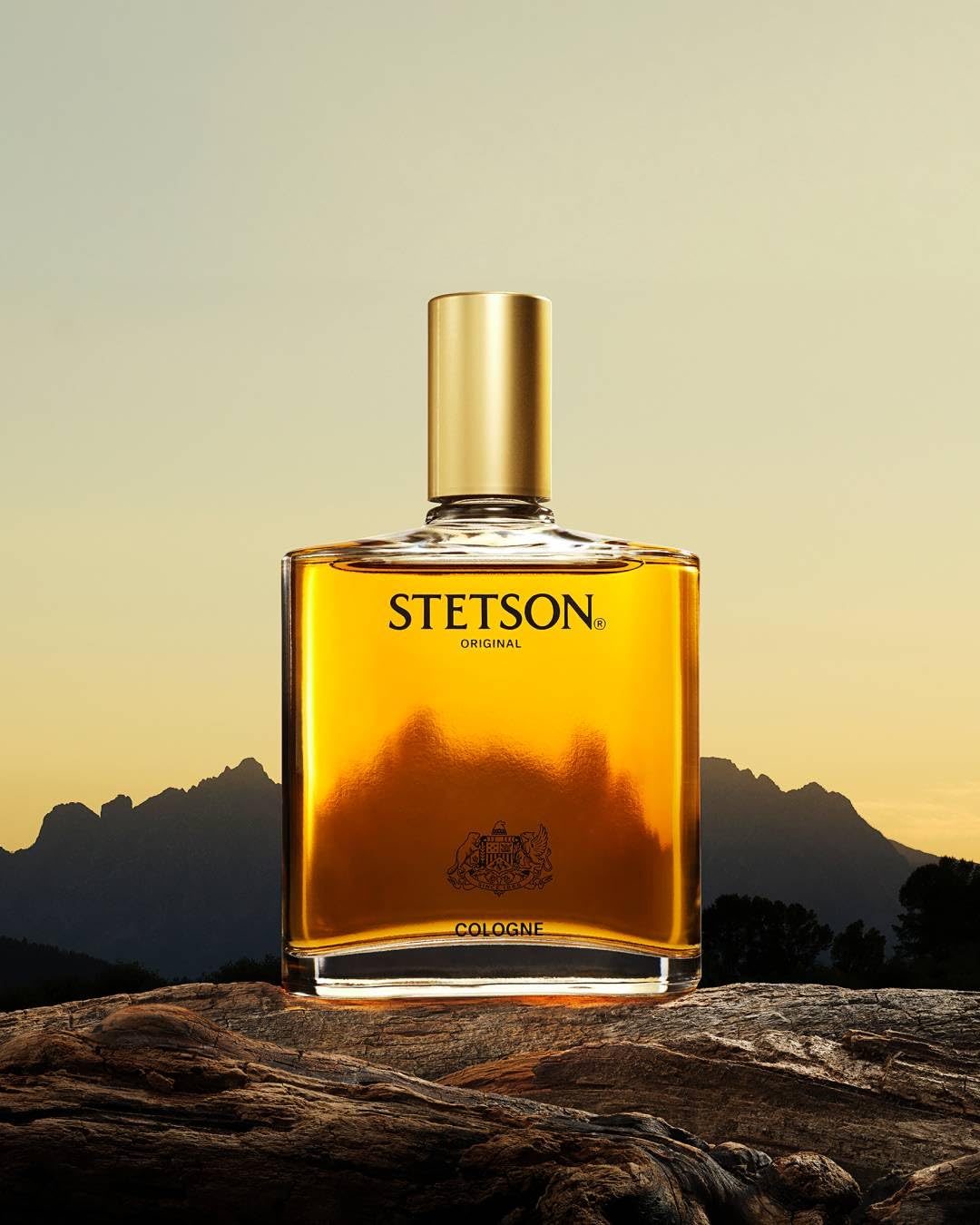 Buy now Stetson Original - Cologne for Men - Classic and Masculine Aroma with Fragrance Notes of Citrus, Patchouli, and Tonka Bean - 3.5 Fl Oz at indiglob india