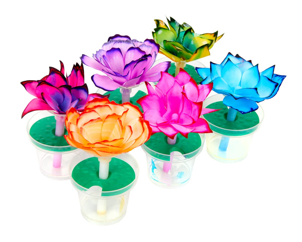 Buy now Crayola Paper Flower Science Kit, Color Changing Flowers, Gift for Kids Ages 7, 8, 9, 10 at indiglob india