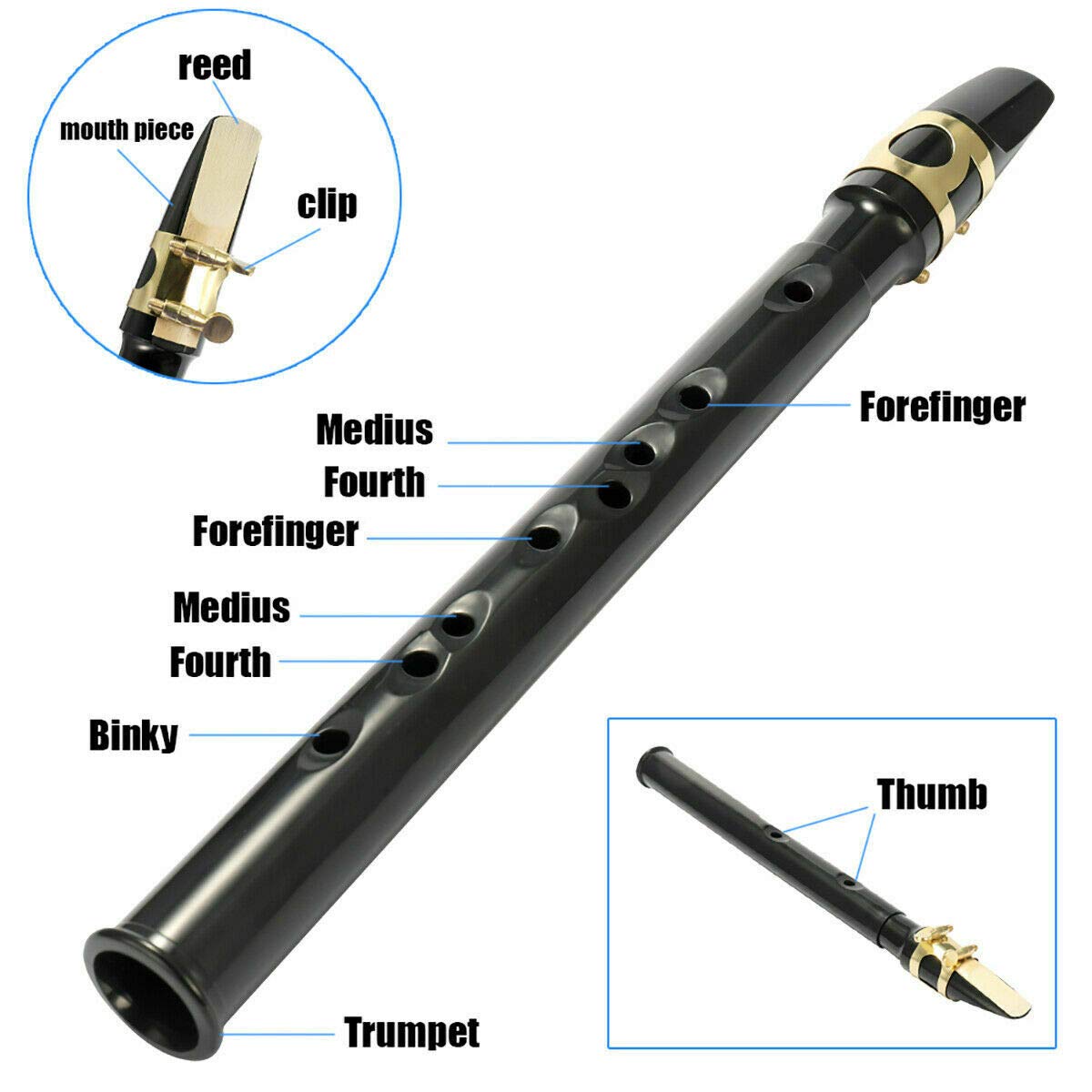 Buy now Pocket Saxophone Kit Mini Sax Portable Woodwind Instrument with Lid, Mouthpiece, Carrying Bag, Fingering Charts at indiglob india