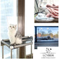 Lcybem Cat Window Perch - Hammock With Plush Pad, Space Saving Bed, Pet Resting Seat Safety Holds Two Large Cats, Providing All Around 360 Sunbathe for Indoor