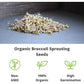 Handy Pantry Broccoli Sprouts Seeds Organic- 1 Lb - Non-GMO Organic Broccoli Seeds for Sprouting, Microgreens Sprouting Seeds, Contain Sulforaphane