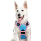 Eagloo Dog Harness for Large Dogs, No Pull Service Vest with Reflective Strips and Control Handle, Adjustable and Comfortable for Walking, No Choke Pet Harness with 2 Metal Rings, Orange, L