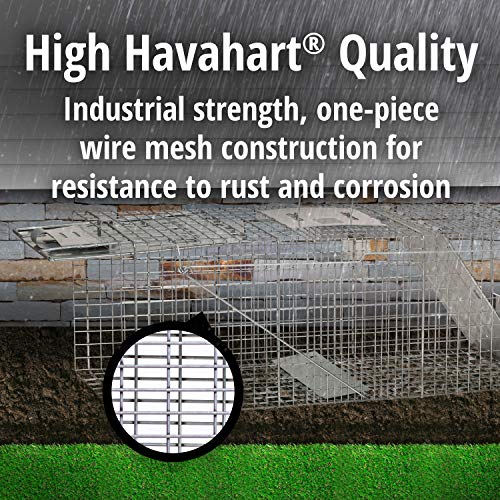 Buy now Havahart Large 2 Door Humane Catch and Release Live Animal Trap for Armadillos, Beavers, Bobcats, Small Dogs, Cats, Foxes, Groundhogs, Nutria, Opossums, Raccoons, Live Catch Trap for Stray Dogs 1045SR at indiglob india