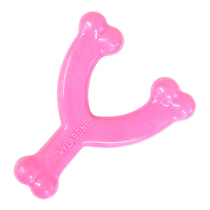 Buy now Nylabone Wishbone Puppy Chew Toy, Toys for Teething Puppies, Pink, Chicken Flavor, X-Small - Up to 15 lbs, 1 Count at indiglob india