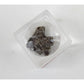 DANCING BEAR Meteorite from Space, 5 pcs Campo del Cielo from Argentina/Educational Card & Magnifying Box