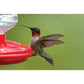 First Nature 3090 32-ounce Hummingbird Flower Feeder