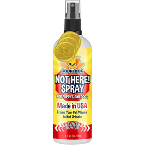 Bodhi Dog Not Here Spray - Trains Your Pet Where Not to Pee Indoors or Outdoors - Anti Marking Deterrent for Furniture, Carpet and Floor - Training Corrector for Puppies & Dogs - Made in USA (8 Fl Oz)