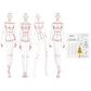 Fashion Drawing Template Ruler Set, Woman Sewing Humanoid Patterns Design, Clothing Measuring French Curve Rulers A4 Pattern Paper Draft Drawings